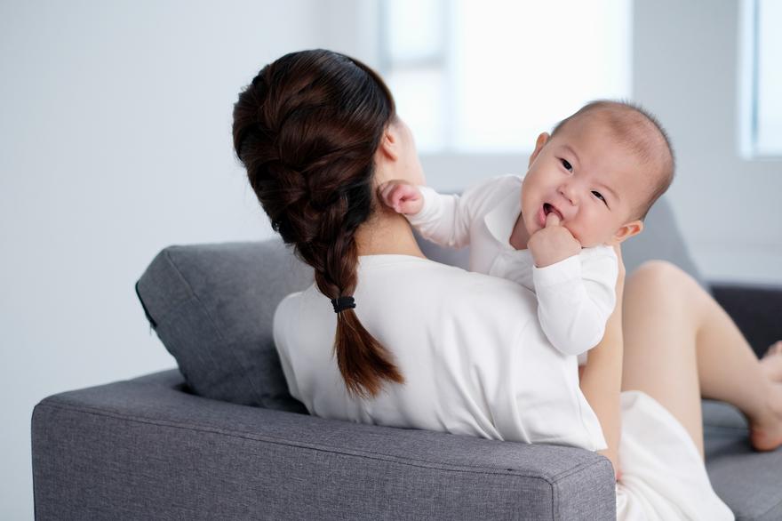 小母猪产后怎么护理,母猪外伤处理方法