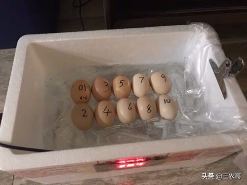 农村现在挣钱的门路有哪些,农村不起眼的挣钱门路有什么