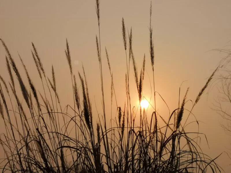 手拍世界摄影网,手拍世界微信公众号