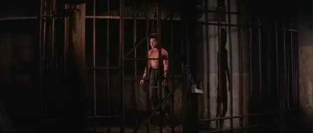 邵氏老电影五毒神功,邵氏电影五毒是哪五毒