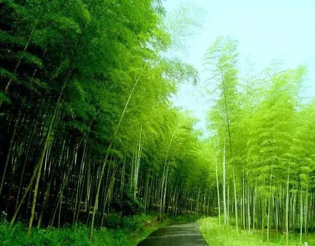 对联应掌握的90个知识点,对联知识点整理