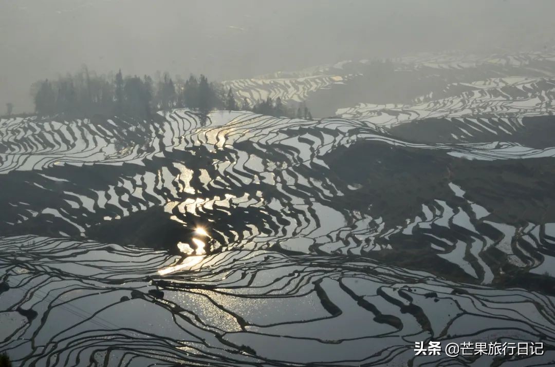 元阳梯田怎么去西双版纳,元阳哪个梯田最值得去