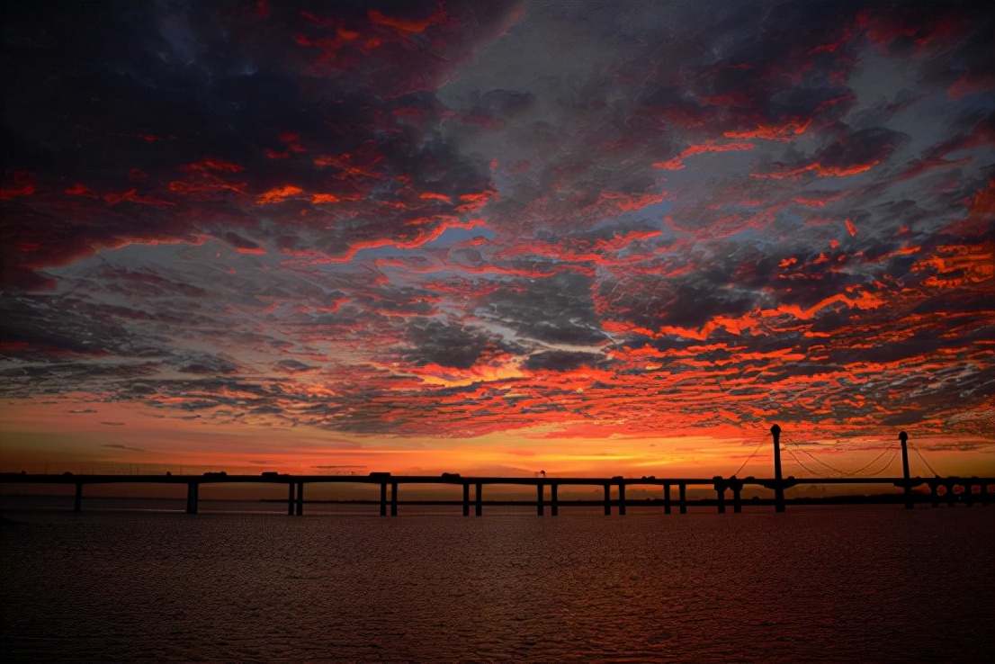 杭州的秋天随处可见都是美景,杭州西溪湿地美成调色盘