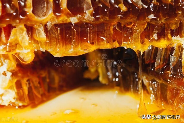 自家蜂蜜网上销售需要什么证,个体养蜂可以在网上卖蜂蜜吗