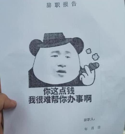 论00后的辞职信,00后扎心辞职信