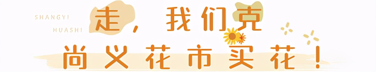 昆明鲜花进货渠道,昆明尚义花市