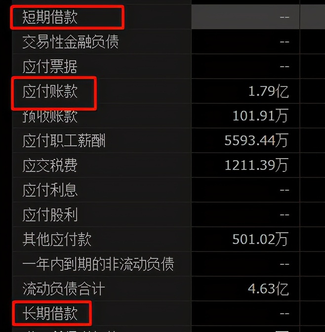 掌趣科技股票2023年利润,掌趣科技股票最新深度分析