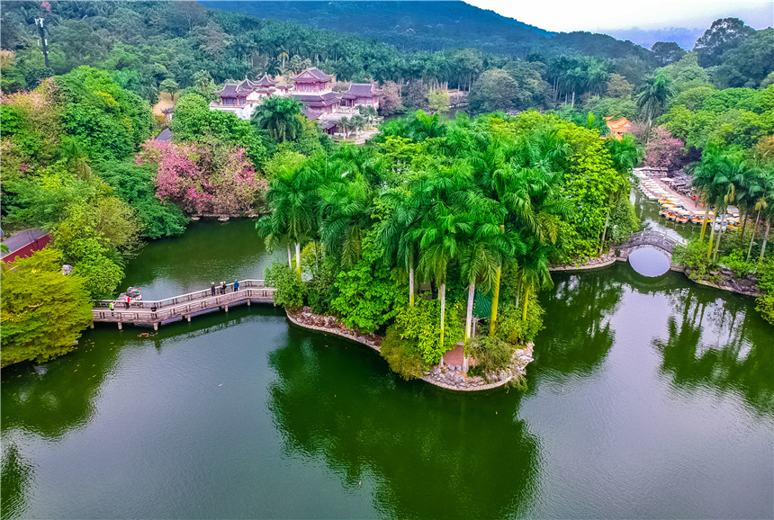广西最不可思议城市,广西最奇葩的城市是哪个