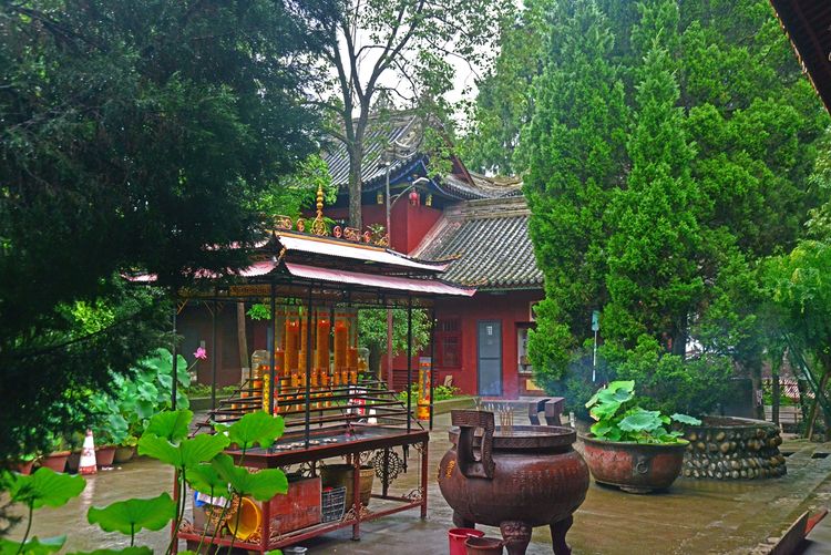 涔愯嚦鑽疯姳鎽勫奖浣滃搧娆ｈ祻,涔愯嚦鍗拌薄鎽勫奖