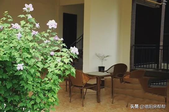 德阳楼盘排名前十二手房,德阳房价排名第一的楼盘