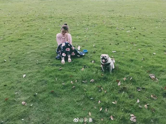 小央美的图片,小央美画作品欣赏