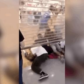 优衣库猫爪杯t恤,优衣库猫爪杯