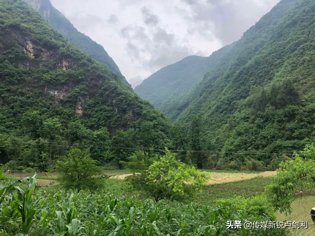 长岭乡古村,长岭古村