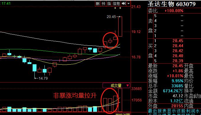 涨停狙击战法实战剖析,强势股反弹买入法