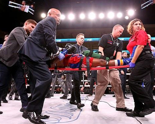 拳力以赴张伦硕辰亦儒,拳力张大大