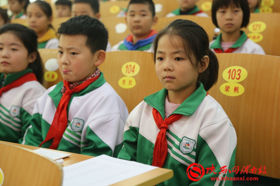 少年先锋队学校代表大会,小学少年先锋队代表大会