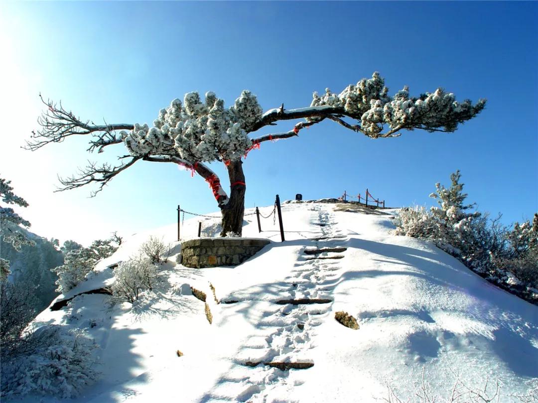 元旦将至迎接2020年,元旦来临之际说说