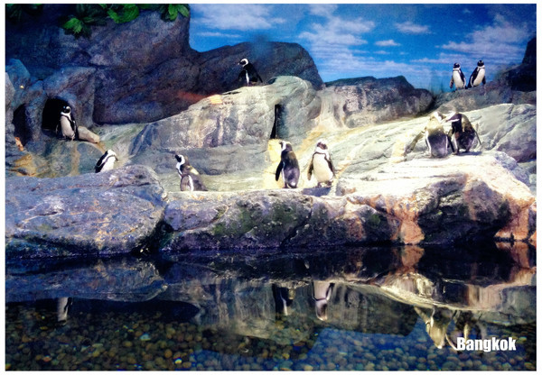 泰国曼谷普吉岛10日游自由行,普吉岛春节2024自由行