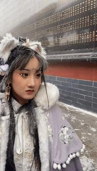 稀奇罕见的狗,很常见的罕见狗