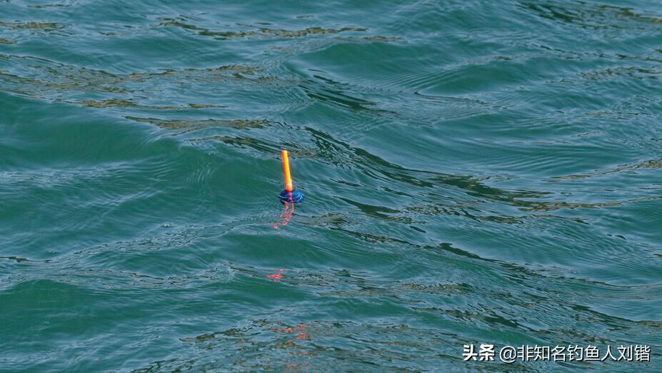 钓鱼浮漂哪种容易看清楚,钓鱼浮漂一般什么颜色好