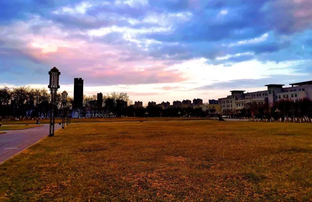 沈阳化工大学辽宁省排名,沈阳化工大学2020招生计划辽宁省