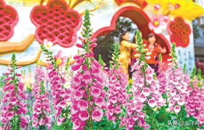 广州人气最旺桑拿,广州真旺