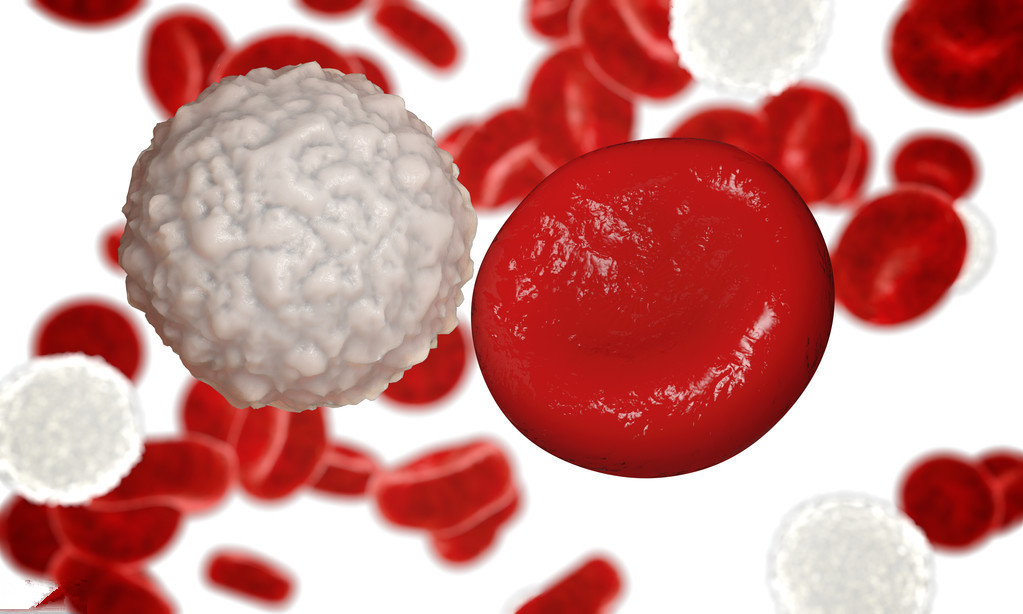 战胜白血病日常注意哪些呢,对抗白血病的小妙招