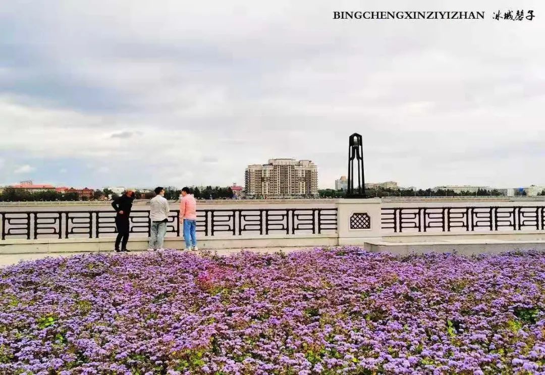 黑河挨着哪里,黑河远方文学