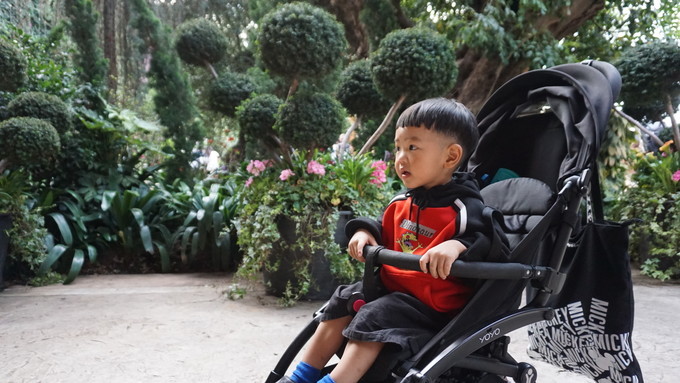 狮城新加坡自由行,新加坡7日游攻略