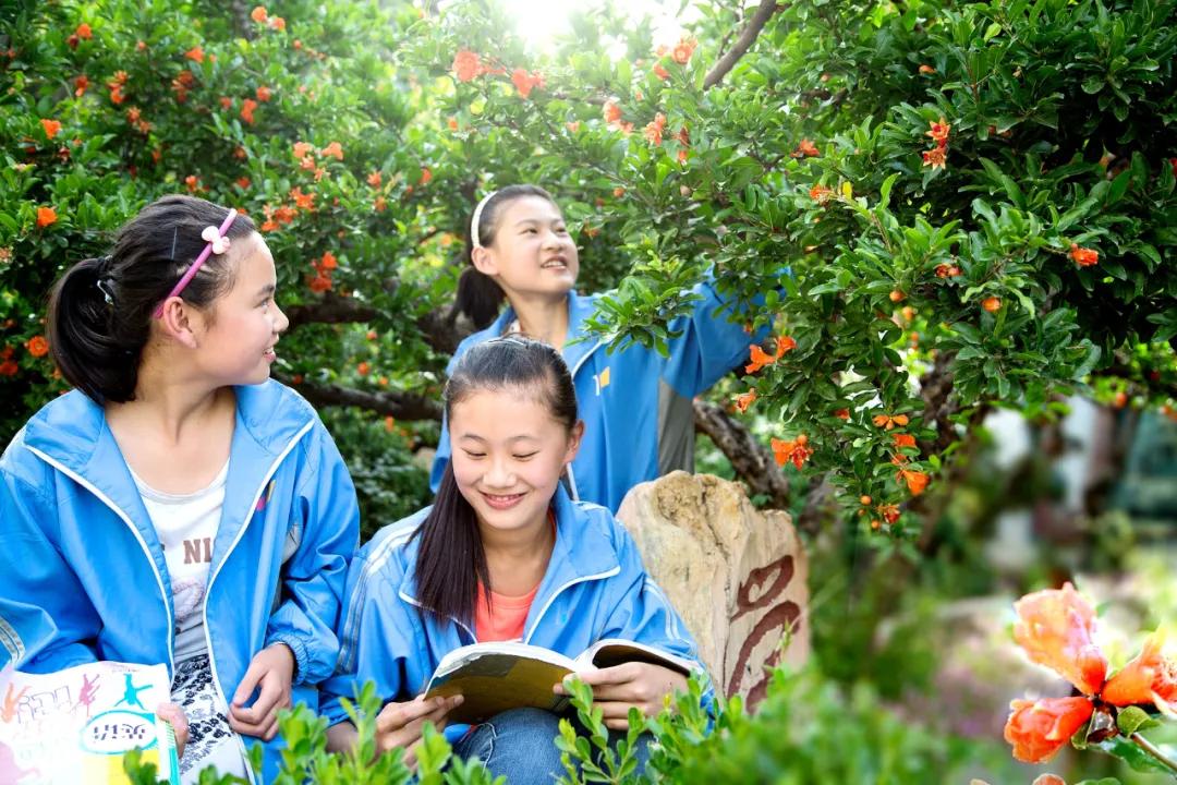 枣庄市峄城区实验小学招生简章,枣庄峄城翰林小学招生简章