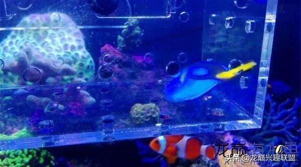 看完别笑，都陪我哭！新人下海开缸的血泪史