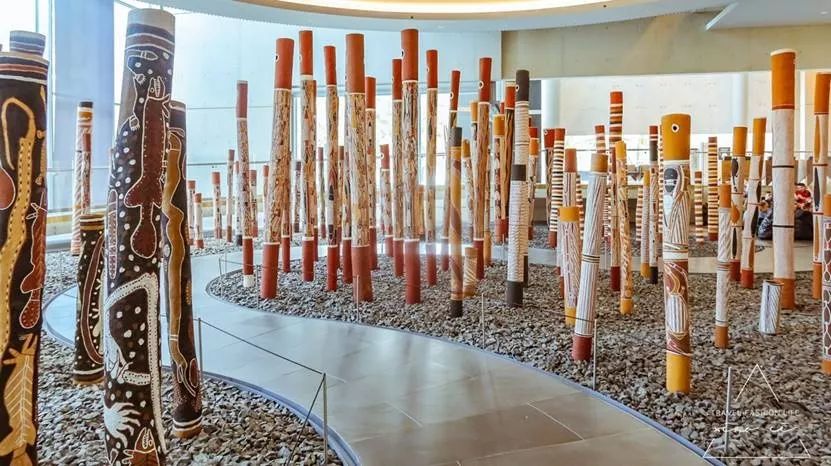 澳洲|春意堪培拉,看袋鼠、品酒、赏花、住进动物的家