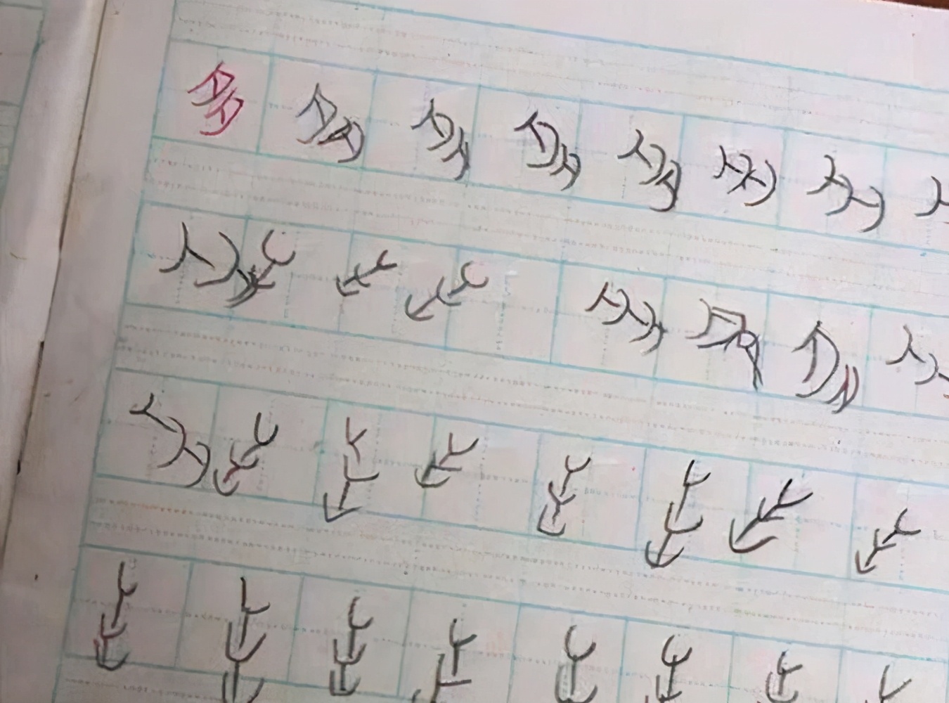 孩子被罚写罗字,孩子写罗字走红