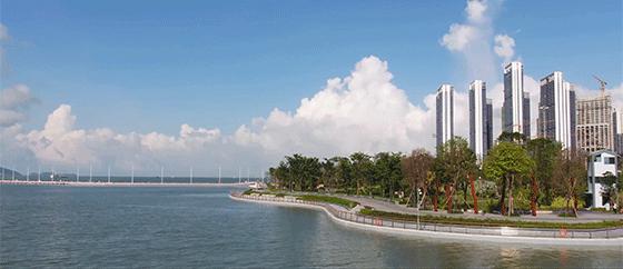 在行走中品味文化是一种生活方式,蛇口文化艺术