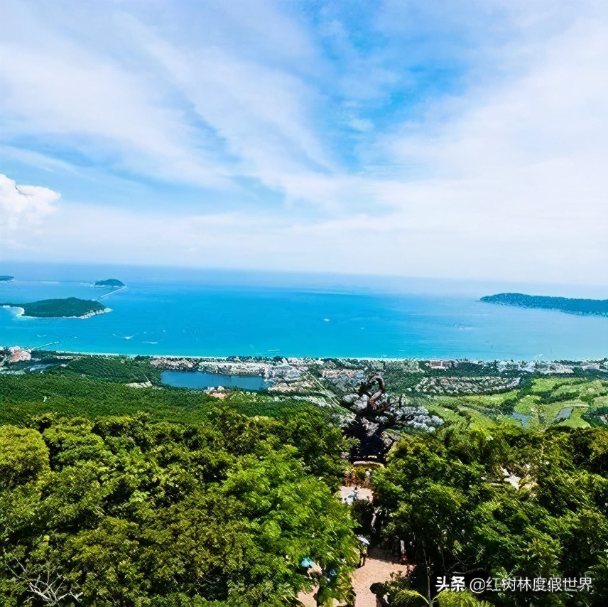 逃离北方的寒冷,逃离北方森林