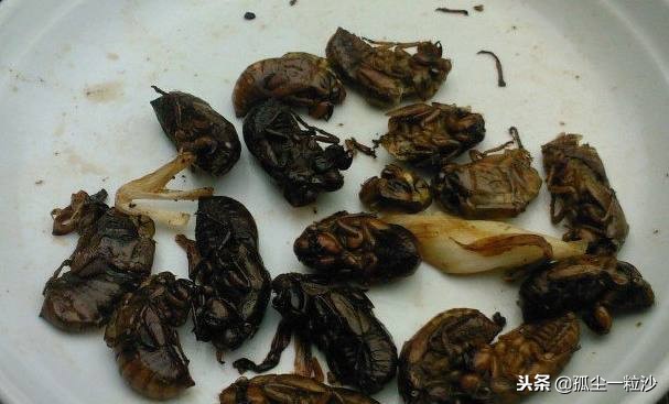 淮北十大美食视频,淮北周边一日游美食