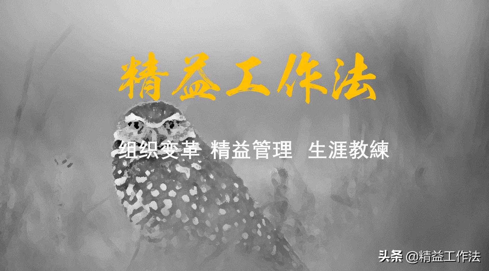 如何做好三分钟的演讲,1000字的演讲需要几分钟