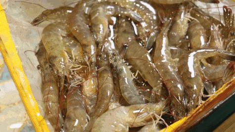 不管活虾还是冻虾，都别直接下锅！牢记这3点保证虾肉香嫩无腥味