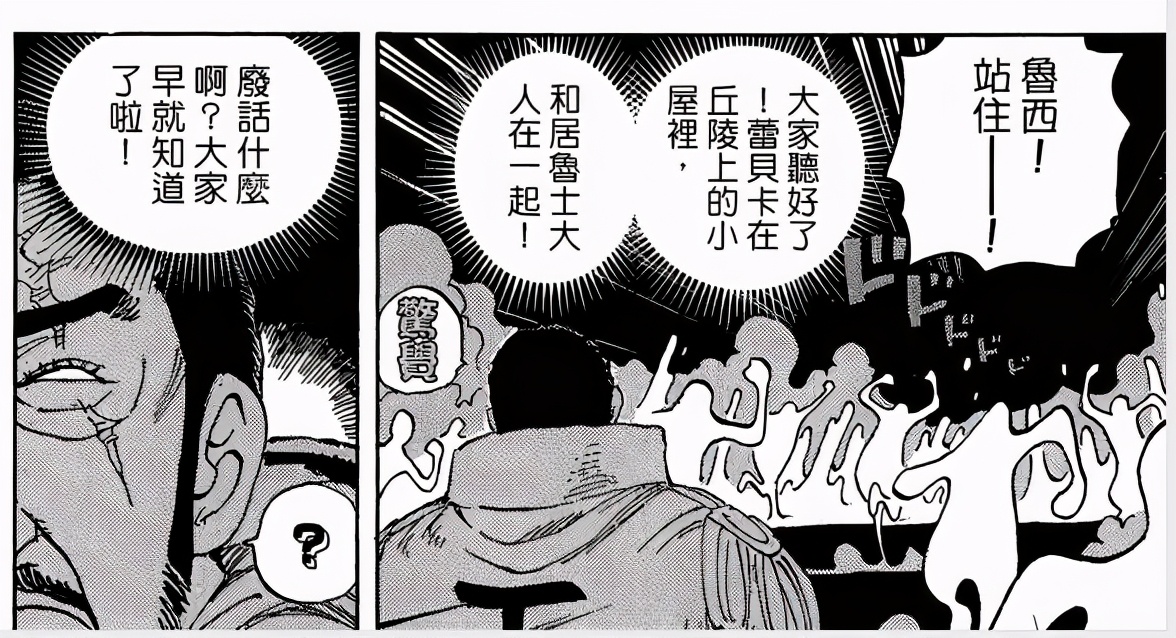 海贼王索隆的左眼官方解释是什么,索隆的左眼到底隐藏着什么