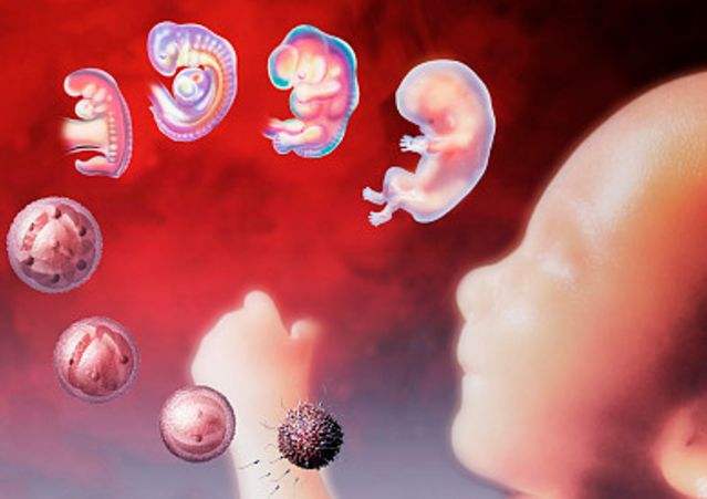 胎停过一次第二次胎停的几率大吗,为什么胎停越来越普遍