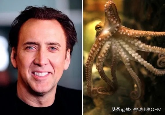 尼古拉斯凯奇凶宅,盘点尼古拉斯凯奇名场面