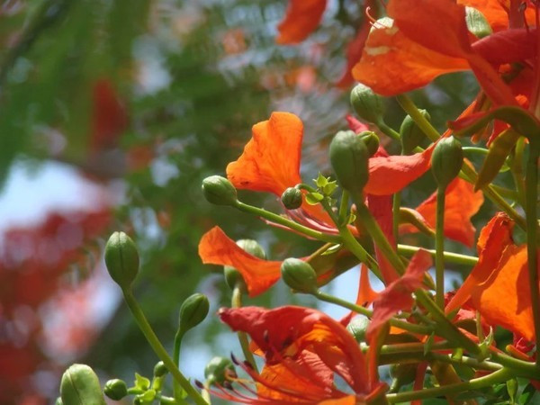 一个人在海边玩一天,一个人在海边怎么玩