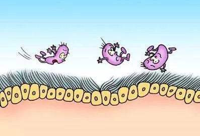 肠道是危重症患者发生多器官功能障碍的发动机