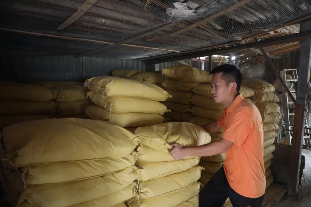 果园养鸡循环农业,农场生态循环养殖