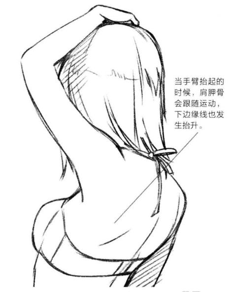 零基础漫画侧脸教程,初学漫画头入门零基础
