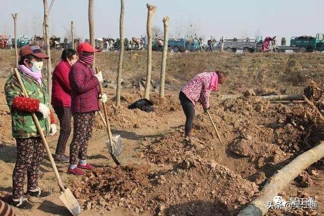 洗脚上岸,洗脚上岸读历史