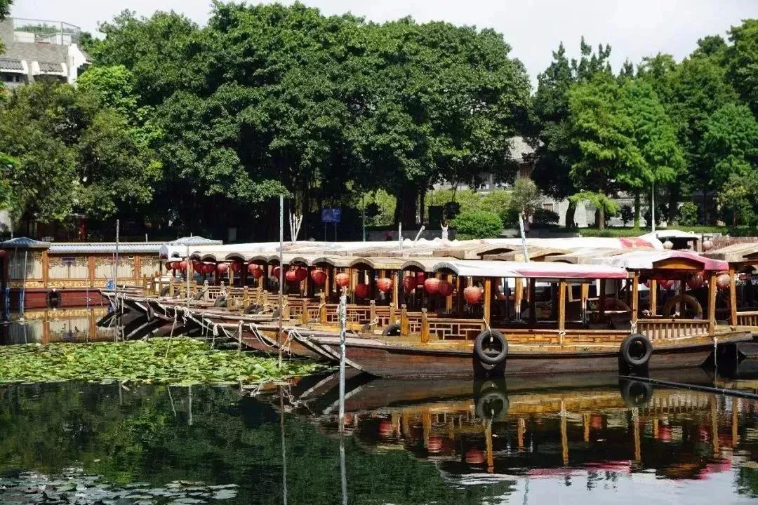 宝藏新公园周末好去处快来打卡,必打卡的宝藏公园