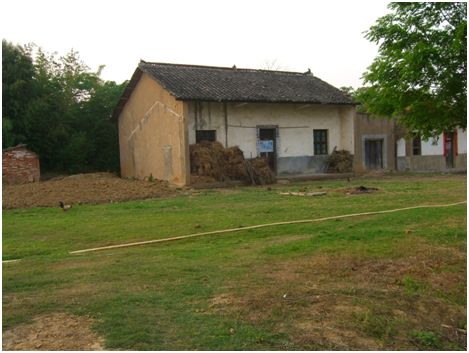 陈亮嘴属于什么档次,陈亮嘴