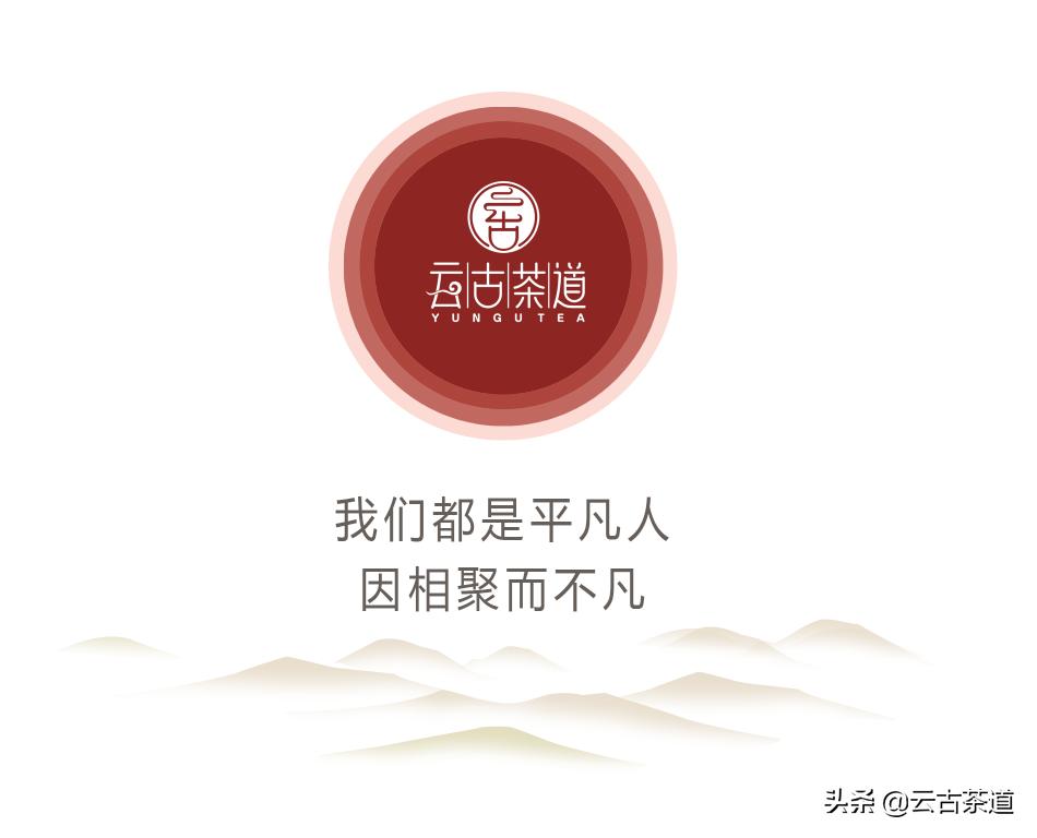 苦荞茶是怎么样的茶类,苦荞茶与传统茶有什么区别