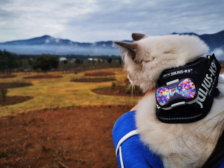 「第四期」一辆房车,三只毛孩子,三个姑娘,9476公里奇遇记